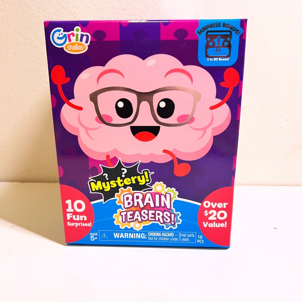 Grin Studios 10pc Mystery Brain Teasers Box Purple Pink Blue Puzzle Game Set